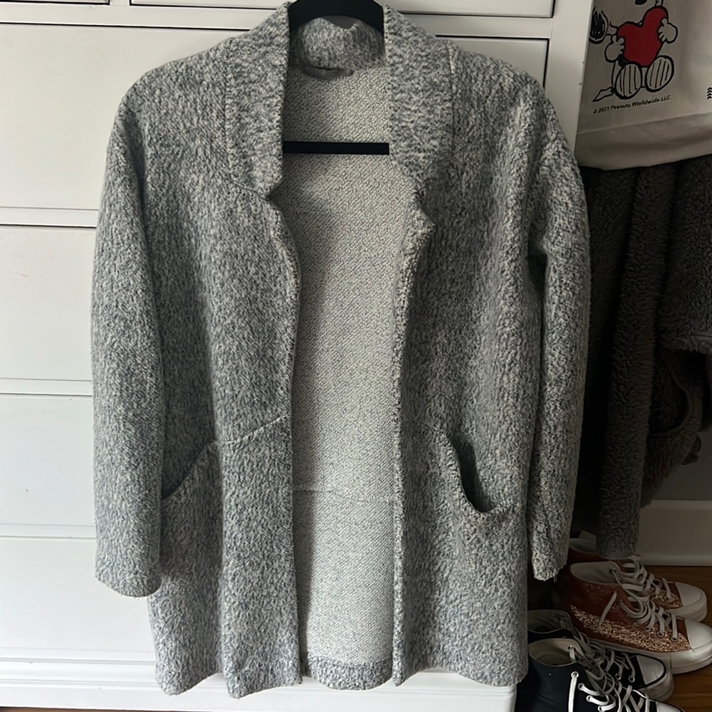 Zara dress coat